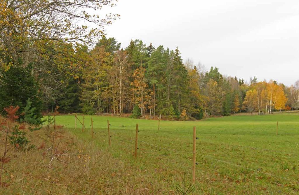 SKOG OCH MARK Åker- och betesmark Fastighetens marker består främst av åkermark och intilliggande skogsbackar.