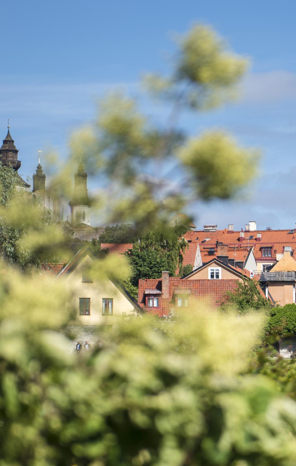 VAR MED OCH UTVECKLA VISITA MELLERSTA Har du frågor gällande regionens verksamhet, eller förslag och idéer på hur vi kan utveckla föreningens arbete?