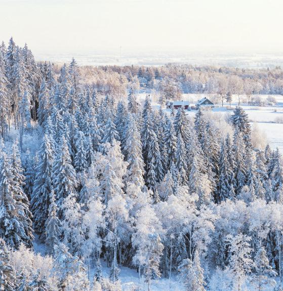 Vi är nummer 1 i Gagnef TACK VARE VÅRA KUNDERS FINA