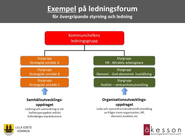 Knsulten rekmmenderar att arbetet leds av styrgrupper/beredningar med en rdförande sm finns med i ledningsgruppen.