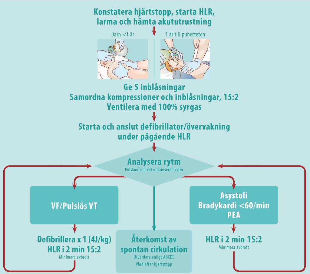 6 A-HLR, BARN OBS! Överväg och åtgärda reversibla orsaker. OBS! 6 VF/VT Tid Åtgärd 0 D 2 D 4 A+D+C 6 D 8 A+D+ C(?