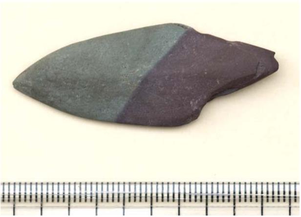 Det som identifierats av benmaterialet från Raä 101:1 är uteslutande av älg. 9 kg brända ben tillvaratogs och utgjordes av extremiteter och skuldra.