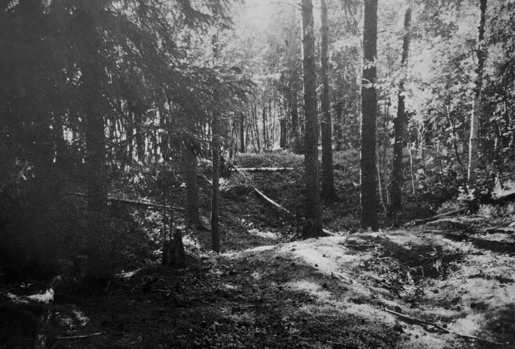 Figur 4. Skärvstensvall, Raä 404 vid Visjön, Åsele socken, Västerbotten. Den stora gropen utgör skärvstensvallens nedsänkta bottenplan och runtomkring syns själva vallen (Åsa Lundberg 1997:16).