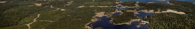 Vad gäller faunan är förekomsten av gölgroda