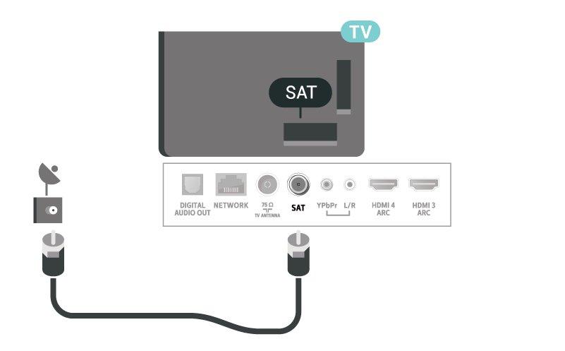 Du kan ansluta din egen antenn eller en antennsignal från ett antenndistributionssystem.