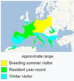 Under perioden var nederbördsmängderna små.