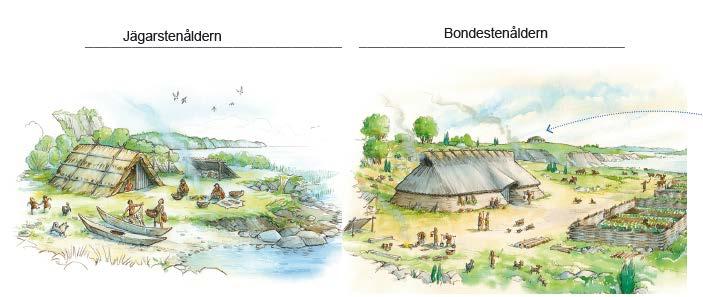 Sidan 6 Stenåldern 4.a) Nomader är människor som flyttar från plats till plats. Bofasta är människor som bor på samma plats år efter år. b) Elevens eget svar.