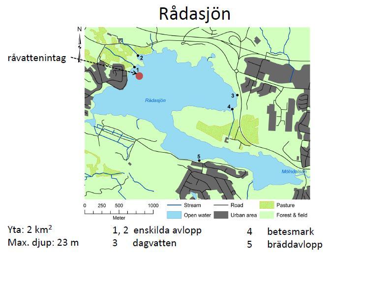 Värdering av risker för en relativt