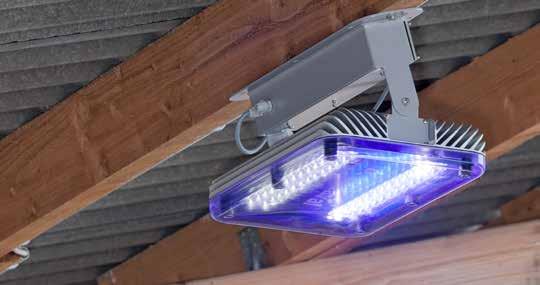 LED-belysning DeLaval CL6000 4 rader LED-lampor Installationshöjd: 4-6 meter Kan minska energikostnaden med upp till