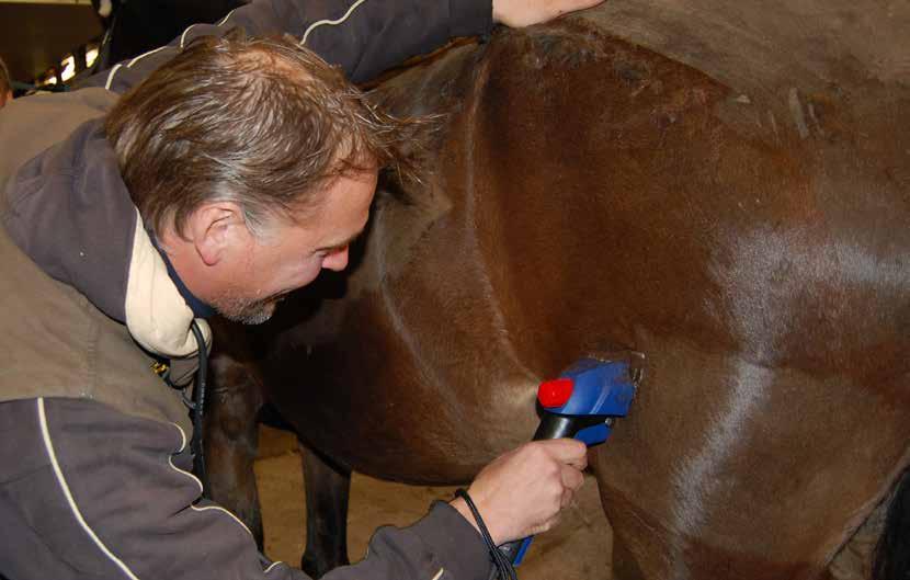 Är det flera hästar som skall klippas, så rekommenderar kunder som provat både HCP65, och starkare klippmaskiner, att man använder en lite starkare