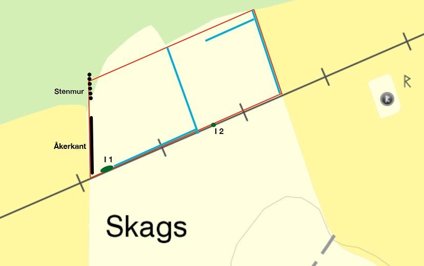 Inventeringen inleddes i det nordöstra hörnet av åkern och sedan i ett regelbundet NO-SV-mönster så att hela ytan täcktes.