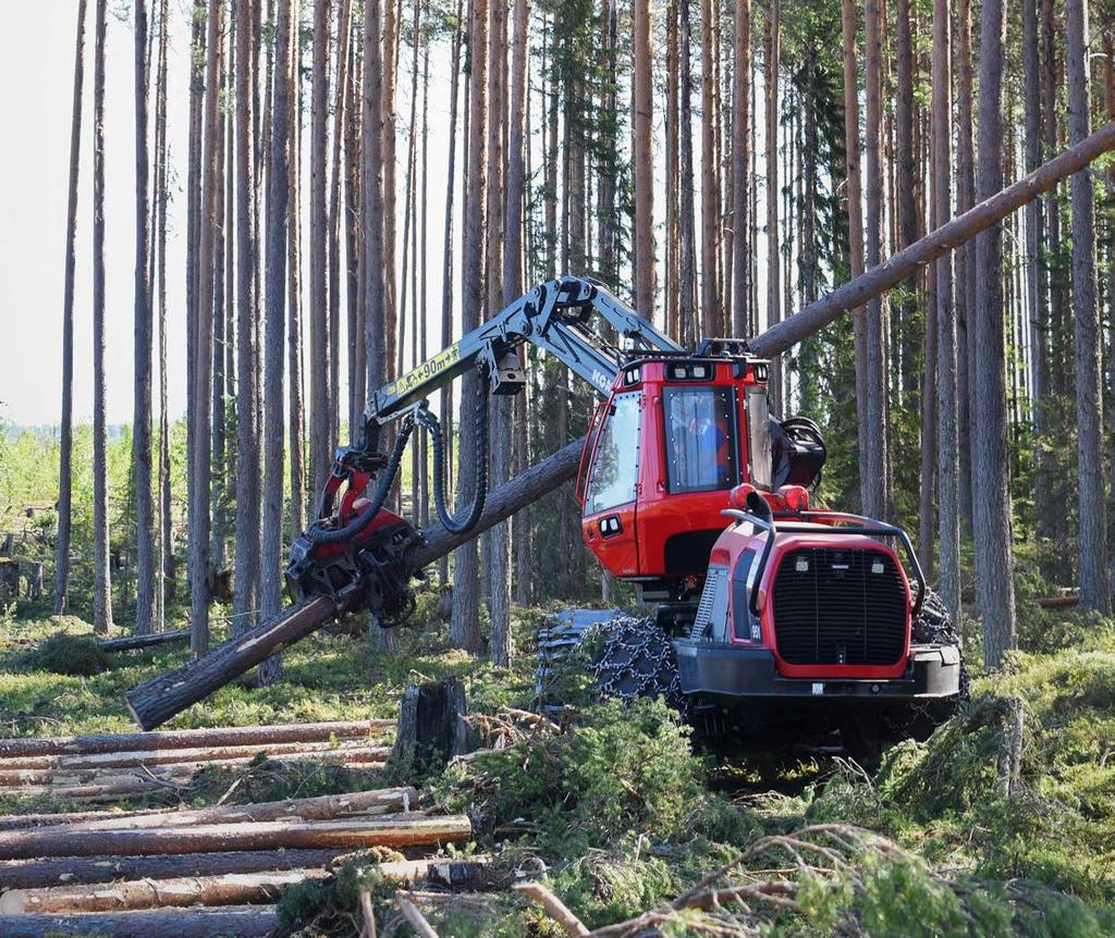 En hög och uthållig nettotillväxt kombinerat med ett hållbart nyttjande av skogs biomassa är avgörande för skogens förmåga att motverka stigande koldioxidhalter i atmosfären.
