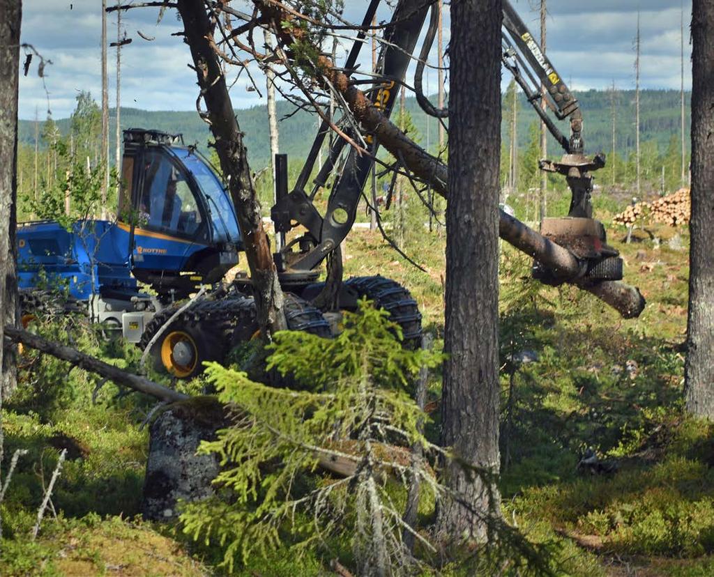 4,71 l/m 3 969 936 åtgärd: ha, m 3 m 3 bränsle % tco2/år Skogsvård totalt: Varav: Drivning totalt: Varav: Vidaretransport, totalt Varav: Planterad areal, ha Markberedning yta, ha Röjning, ha