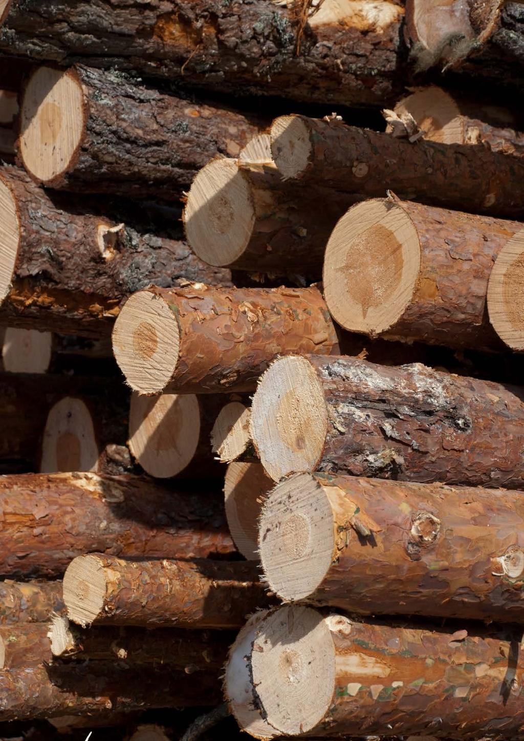 DE SKOGSINDUSTRIELLA PRODUKTERNA I ETT KLIMATPERSPEKTIV FOTO: ERIK