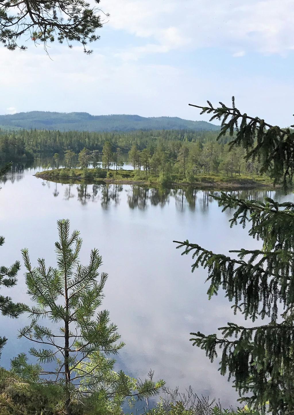 Skogforsk Det svenska