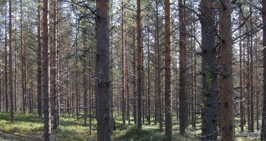 Uppföljning Biologisk Mångfald VAR?