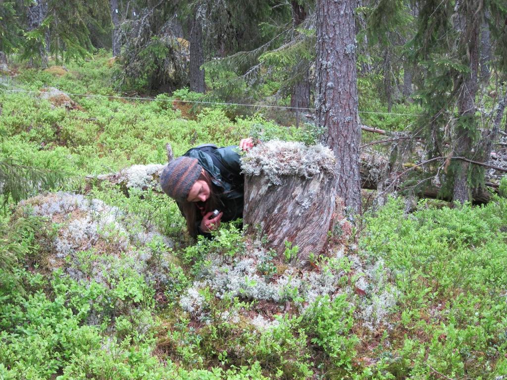 Uppföljning Biologisk