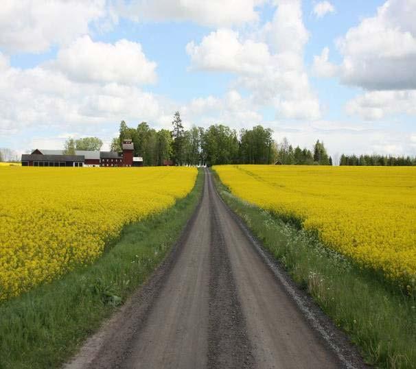 Hur ser höstrapsen ut i Sverige idag Vikt i kg Skördeförväntning