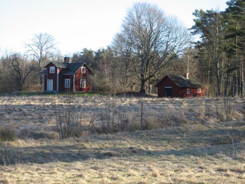 I bortre, västra delen av detta öppna parti blommar jungfru Marie nycklar på försommaren. 11. Beteshagen Denna beteshage var inhägnad och användes till bete redan på 1700-talet.