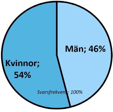 Vanliga exempel på 1177-uppdrag är urinvägsbesvär, sår,