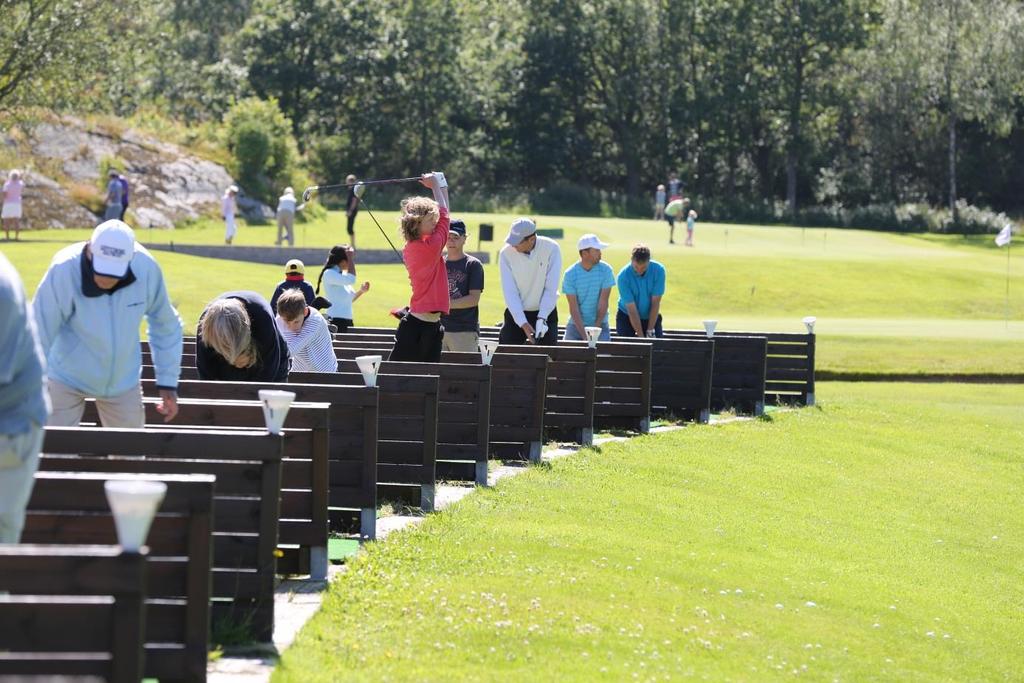 Strategi Vi är organiserade i en Handigolf- och Integrationskommitté.