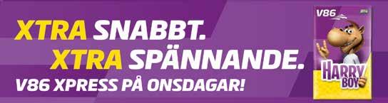 e Rj Mirhi - : --, : --, Tot: -- Wind Glider e Ynkee Glide Untersteiner J Å / - /, Uppf: Gustvsson Holger & Olsson A-C Untersteiner J Å / - /, Äg: Gustvsson Holger & Olsson A-C Johnsson M S Hd / - /,