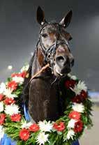 SOLVALLA DISTANS V TRIO TVILLING VINNARE Svensk Trvsports Unghästserie - Treåringslopp m -årig svensk. -. kr. m. Autostrt. Pris:.-.-.-.-.-.-.-. ( priser).