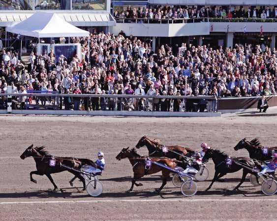 ÅBY DISTANS m : TRIO TVILLING VINNARE Bengt Flon Anderssons Lopp - ST s Unghästserie - Fyråringslopp ston -årig svensk ston. -. kr. m. Autostrt. Spårtrpp. Pris:.-.-.-.-.-.-.-. ( priser).