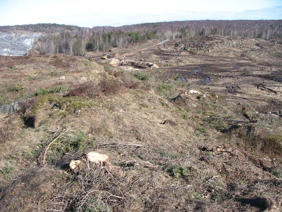 Bergteknisk utredning Halvorsäng 5 (13) Foto 3. Delområde C med mer höglänta bergspartier och jordfyllda dalgångar. Nuvarande täktområde syns överst till vänster.