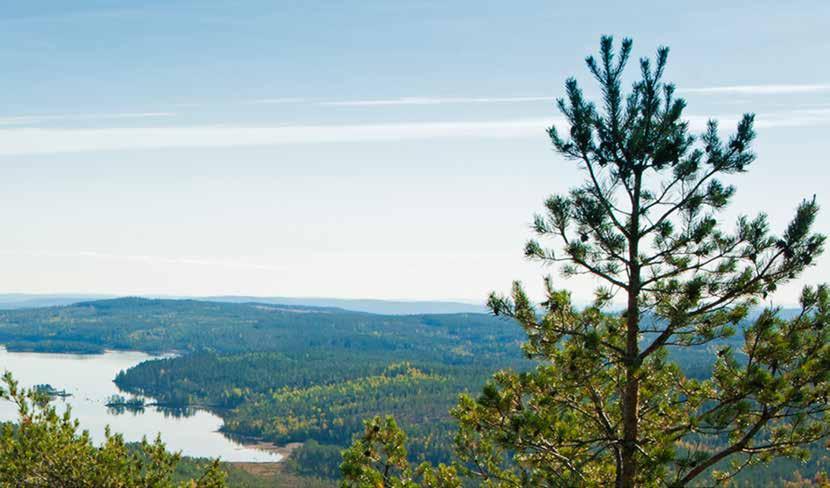 skogsbrukscertifiering För att kunna certifiera din skog är det viktigt att följa 9 viktiga direktiv: 1.