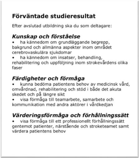 Pedagogiska utgångspunkter Constructive