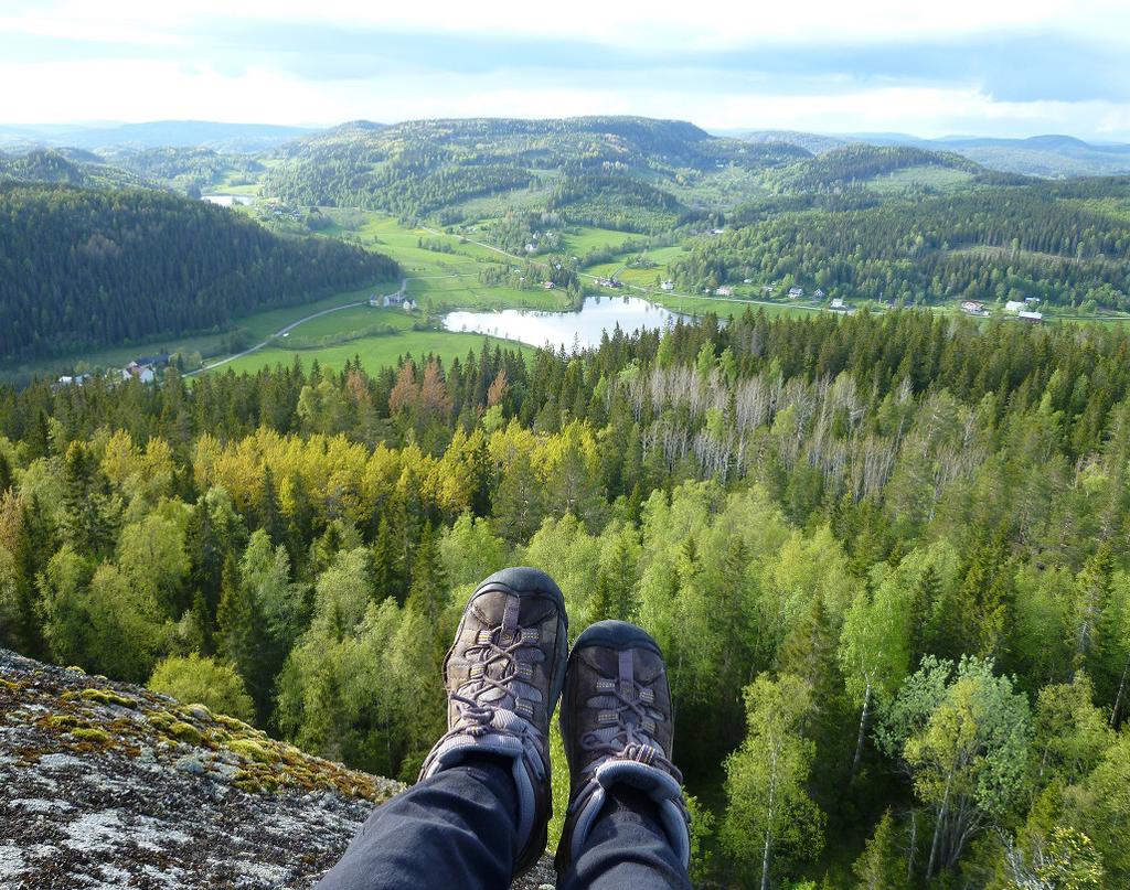 Geologins Dag är ett nätverk för oss som vill dela med oss av vårt engagemang och intresse för geovetenskaperna.