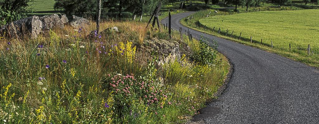 ONSDAG 22 MAJ Biologiska mångfaldens dag Utflykt till vår tidigare slåtteräng på Munkholmen med kungsängsliljor m.m. Cykla gärna med oss dit. Vi träffas i Märsta resp. Sigtuna. Ta med fika.