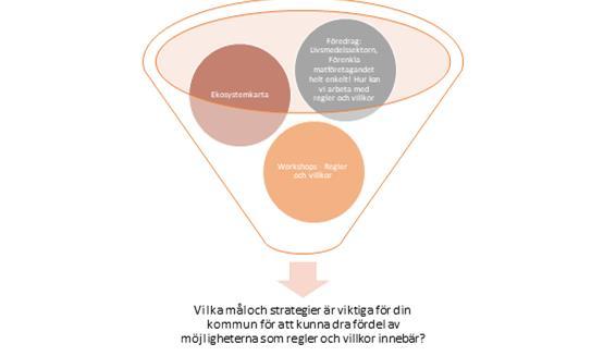 Hur kan din kommun stärkas genom regler och villkor?