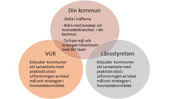 Roller och förväntningar PwC stöttar med verktyg och faciliterar arbetet med framtagandet av lokala mål och