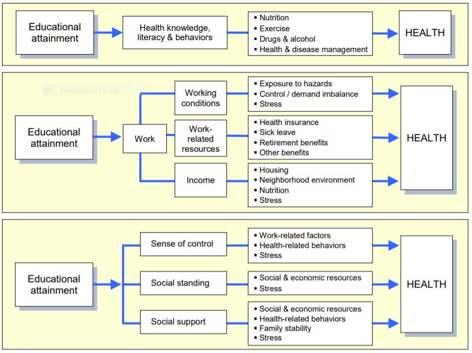 Hur påverkar utbildning hälsa?