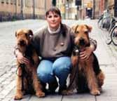 Budkaveln till Petra Stenkula: Pappa fick bestämma ras airedaleterrier Jag är uppväxt med hästar och hundar och tidigt kom jag fram till att hundarna var det jag brann för.