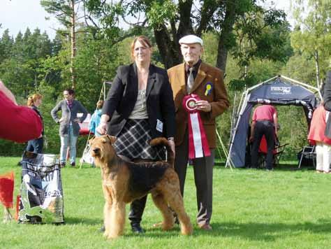 C.I.B. DK UCh SE UCh Klofkulla s Incredible vann Best in Show i Tånga Hed på terrierklubbens utställning 2012. Domare var Les Aspin, Storbritannien.