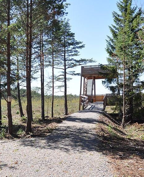 Det behövs inte alltid långa resor för att upptäcka nya spännande platser. I skog och mark runt omkring oss finns vackra naturmiljöer och fascinerande lämningar från förr.