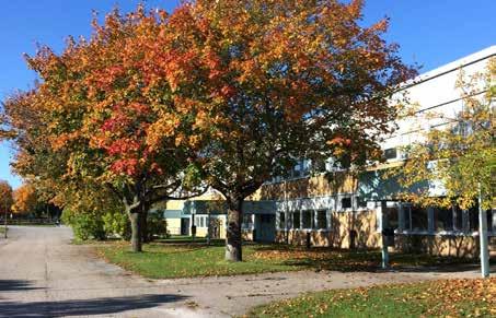 Gråboskolan arbetar med NTA (Natur och teknik för alla). Skolan är miljöcertifierad genom sitt Gröna Flaggarbete.