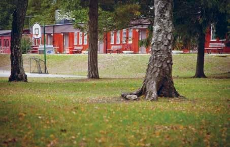 Vi har också både praktiskt och pedagogiskt samarbete med förskolan som just flyttat in bredvid oss i nyrenoverade lokaler. Upptagningsområde är Eskelhem, Tofta och Gnisvärd.