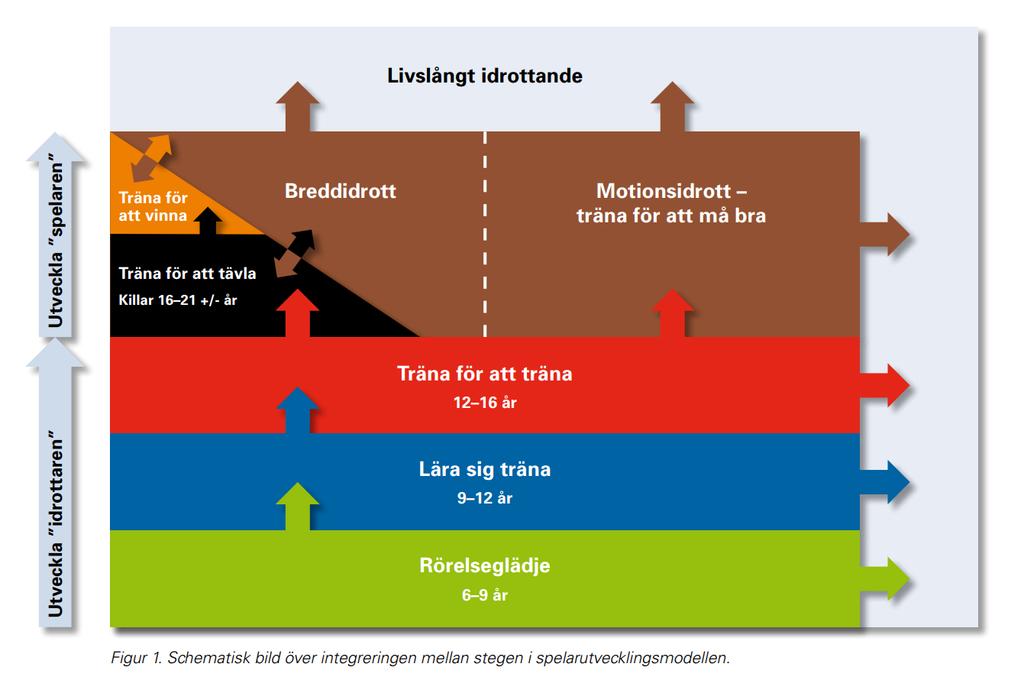 Svensk Innebandys