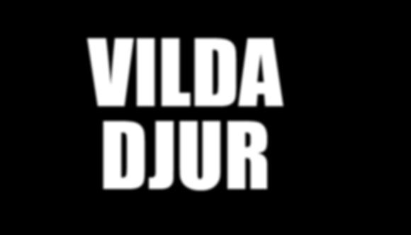 VILDA DJUR VILKA VILDA DJUR