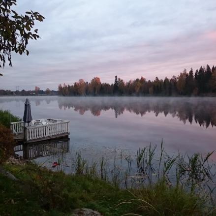 dina försök att undvika