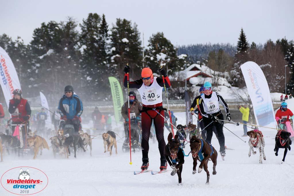 på vår hemsida: http://www.vindelalven.