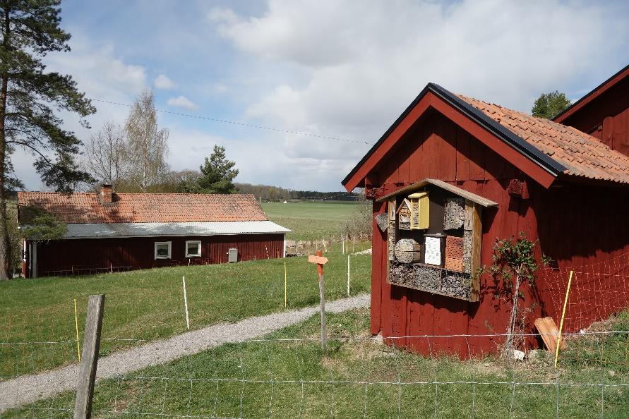 Fältstationen Rördrommen, Sörfjärden, Eskilstuna Sörfjärden är en vik av Mälaren. Här har man utsikt över vidsträckta vassområden, sjöängar och åkermark.