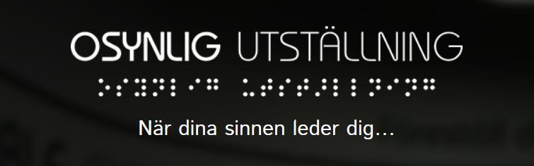 Den 16 mars 2017 fick jag möjlighet att följa med Synskadades Lokalförening Eskilstuna till Osynlig Utställning i Stockholm.