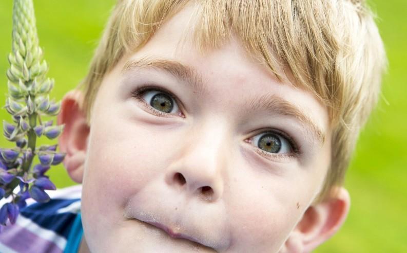 I läroplanen står att förskoleklassens lärare har ansvar för att samverka med och fortlöpande