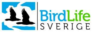 Riktlinjer BirdLife Sverige Beslutad: 2018-11-17 BirdLife Sveriges riktlinjer om skarv 1 Sammanfattning Storskarven är en naturlig del av vårt europeiska ekosystem och ska behandlas med samma respekt