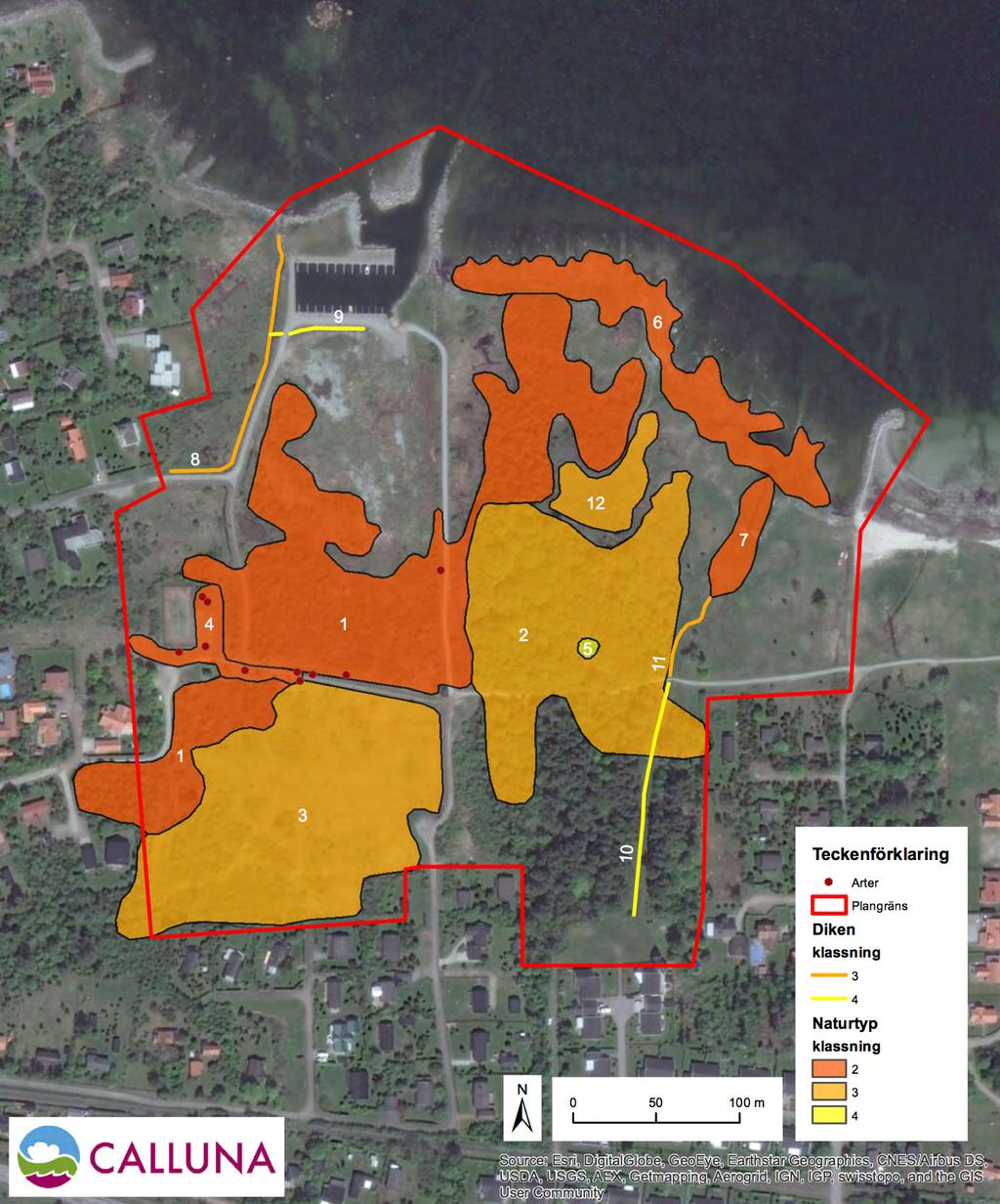Figur 3. Identifierade naturvärdesobjekt i planområdet, från Callunas naturvärdesinventering (Calluna, 2015a).
